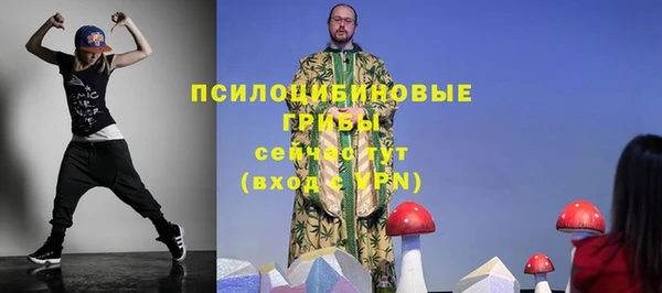 прущий лед Михайлов
