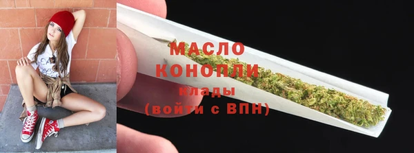 крисы Надым