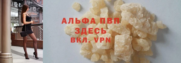 крисы Надым