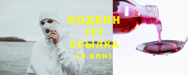крисы Надым