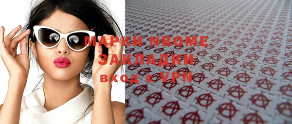 крисы Надым