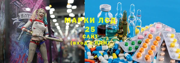 крисы Надым