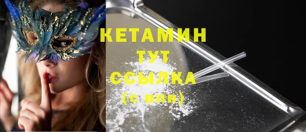 крисы Надым