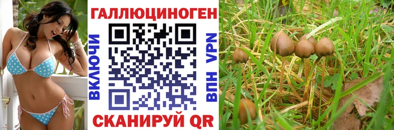 Галлюциногенные грибы прущие грибы  купить   Тайшет 