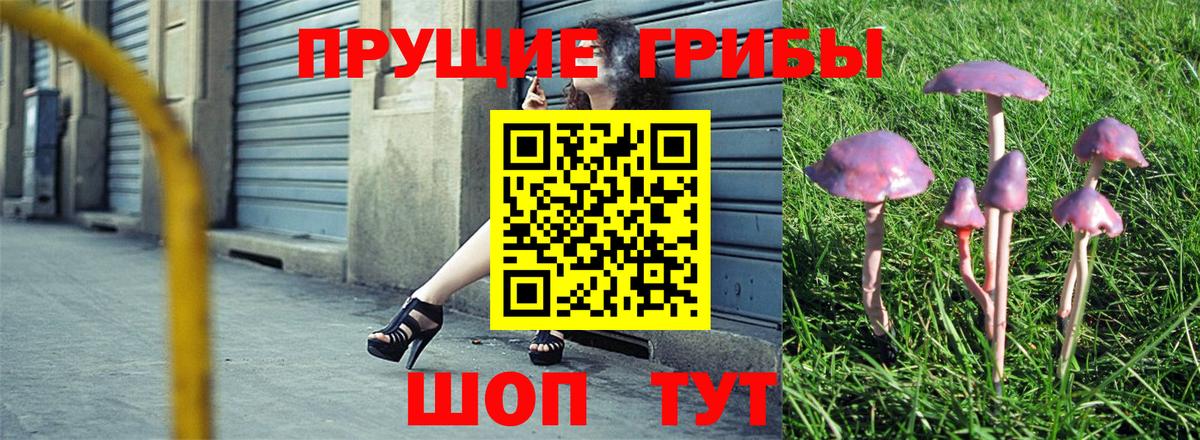 Галлюциногенные грибы мухоморы  Вход с VPN  Тайшет 