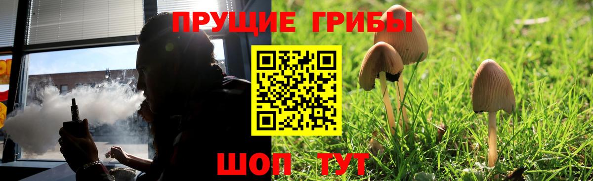 Псилоцибиновые грибы Cubensis Тайшет